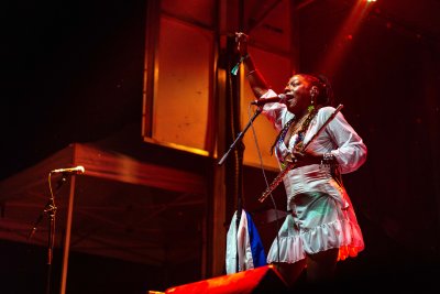 ihanaimagesSalmonArmRootsandBlues2023-10.jpg